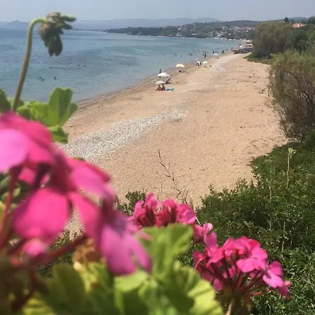 Village Holidays - Chelonaria * Chrani