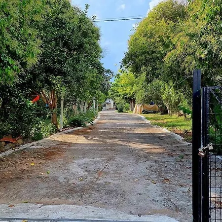 アパート Village Holidays - Chelonaria