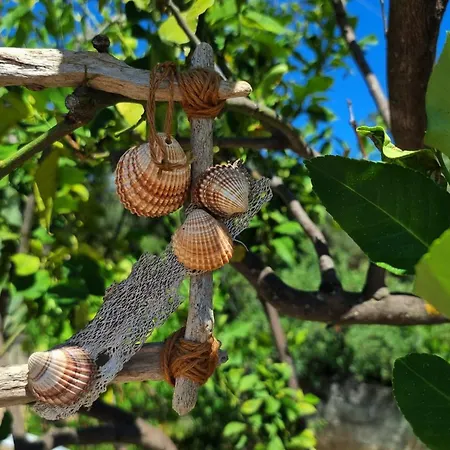 アパート Village Holidays - Chelonaria